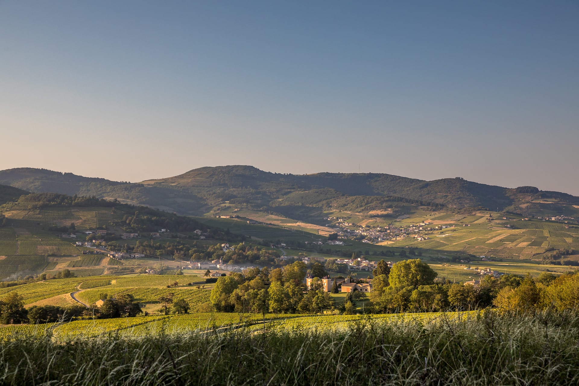 Bienvenue en Beaujonomie 2024